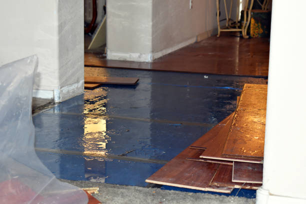 Professional Basement Flood Cleanup technician working in Burlington, WA