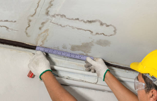 Reliable Basement Flood Cleanup contractor in Burlington, WA by Aqua Guard Water Damage